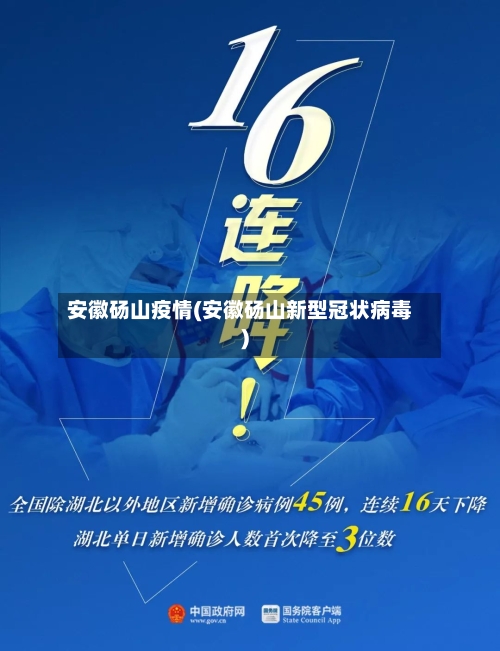 安徽砀山疫情(安徽砀山新型冠状病毒)-第2张图片