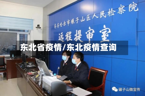 东北省疫情/东北疫情查询