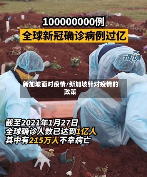 新加坡面对疫情/新加坡针对疫情的政策-第2张图片