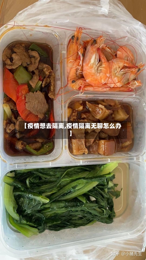 【疫情想去隔离,疫情隔离无聊怎么办】