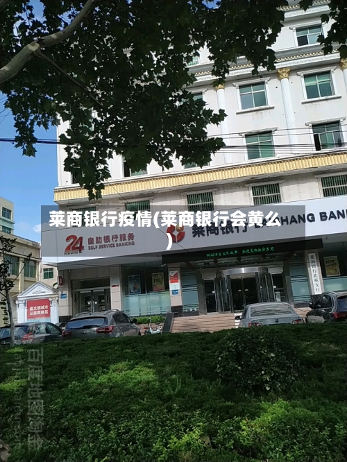 莱商银行疫情(莱商银行会黄么)-第2张图片