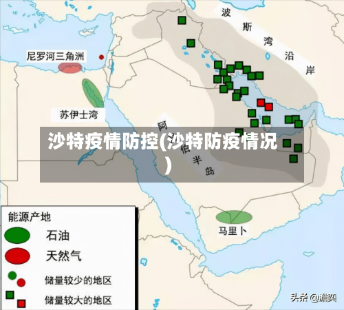 沙特疫情防控(沙特防疫情况)-第3张图片