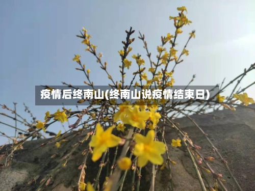 疫情后终南山(终南山说疫情结束日)