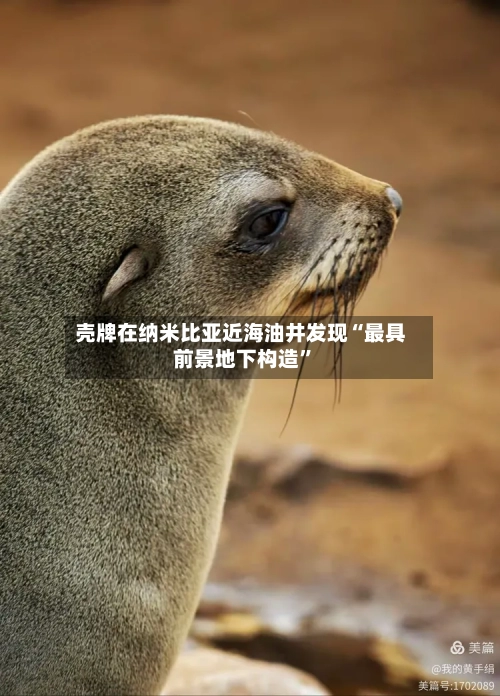 壳牌在纳米比亚近海油井发现“最具前景地下构造	”-第2张图片