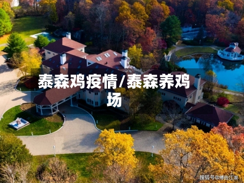 泰森鸡疫情/泰森养鸡场-第3张图片