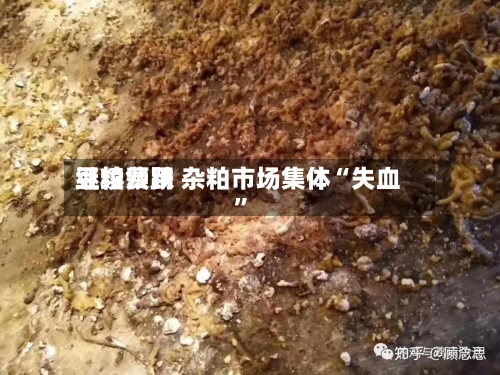 豆粕费用继续领跌 杂粕市场集体“失血”-第2张图片