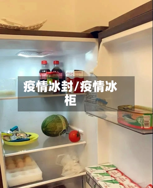 疫情冰封/疫情冰柜-第2张图片