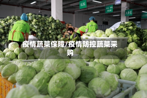 疫情蔬菜保障/疫情防控蔬菜采购