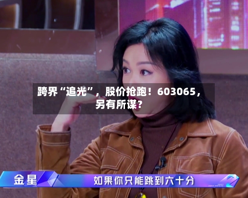 跨界“追光	”，股价抢跑！603065，另有所谋？-第2张图片