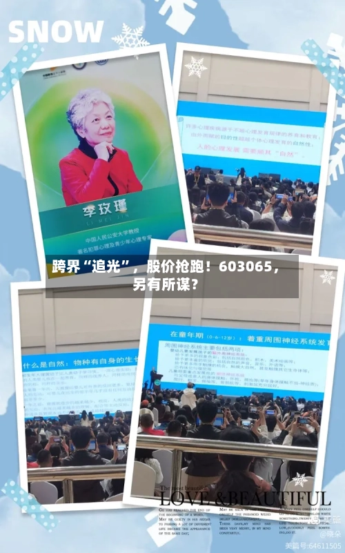 跨界“追光”	，股价抢跑！603065，另有所谋？-第3张图片