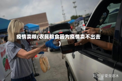 疫情卖粮(农民粮食因为疫情卖不出去)-第3张图片