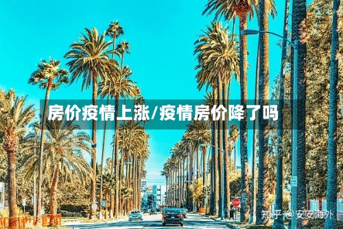 房价疫情上涨/疫情房价降了吗-第2张图片