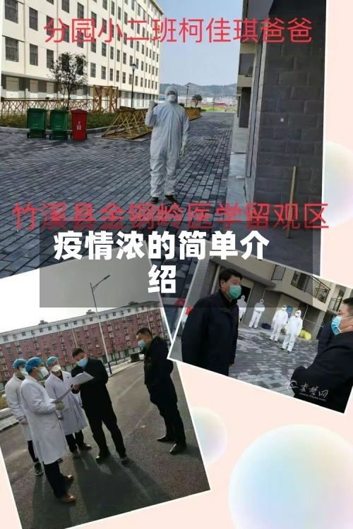 疫情浓的简单介绍