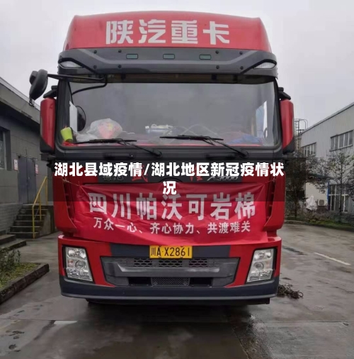湖北县域疫情/湖北地区新冠疫情状况