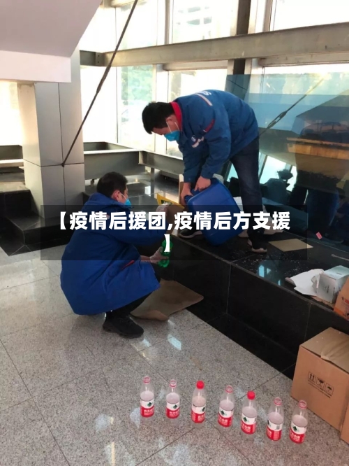 【疫情后援团,疫情后方支援】
