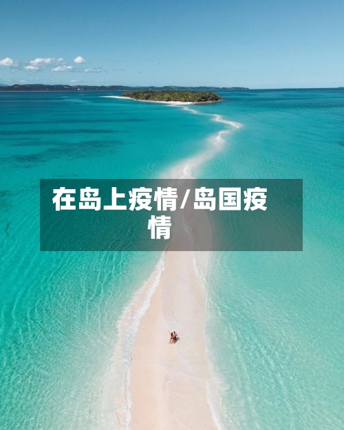在岛上疫情/岛国疫情