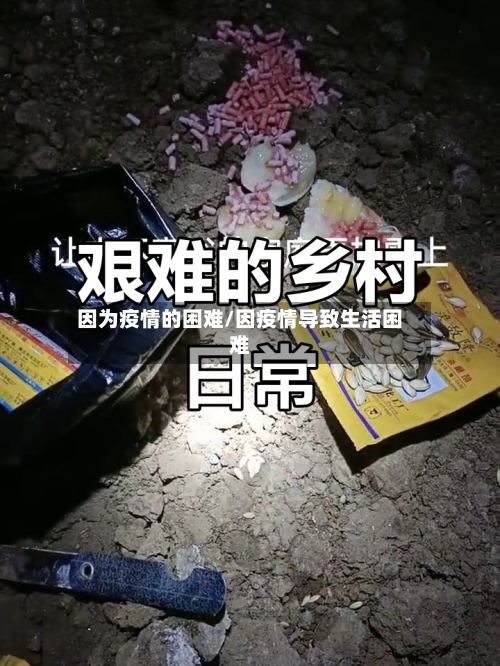 因为疫情的困难/因疫情导致生活困难-第2张图片