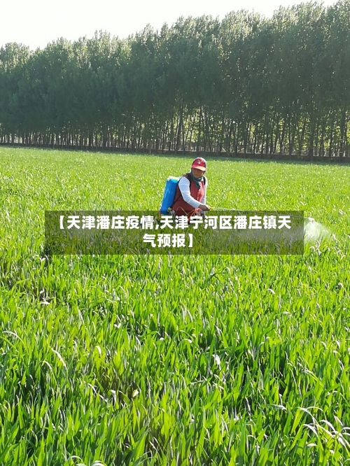 【天津潘庄疫情,天津宁河区潘庄镇天气预报】-第2张图片