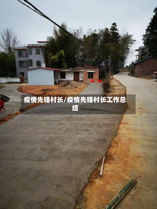 疫情先锋村长/疫情先锋村长工作总结-第3张图片