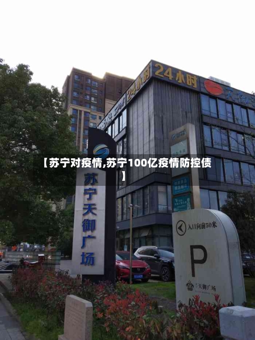 【苏宁对疫情,苏宁100亿疫情防控债】-第3张图片