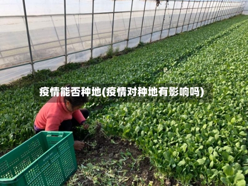 疫情能否种地(疫情对种地有影响吗)