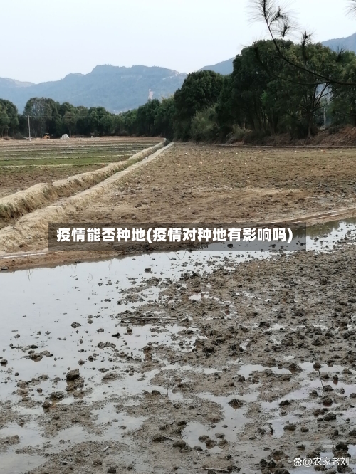 疫情能否种地(疫情对种地有影响吗)-第3张图片
