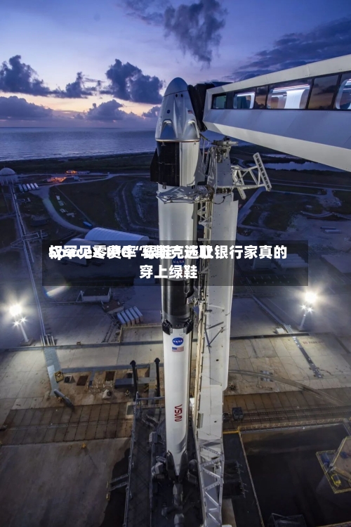 SpaceX IPO“绿鞋”选取权罕见零费率 马斯克还让银行家真的穿上绿鞋-第2张图片