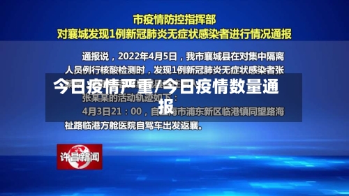 今日疫情严重/今日疫情数量通报-第2张图片