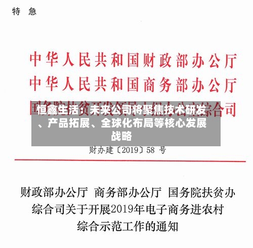 恒鑫生活：未来公司将聚焦技术研发、产品拓展、全球化布局等核心发展战略-第2张图片