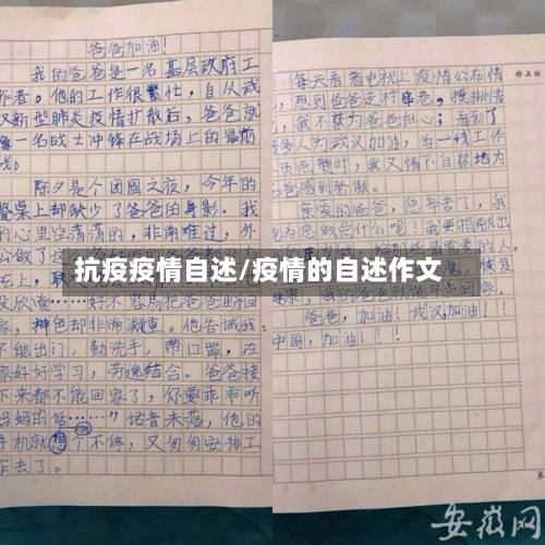 抗疫疫情自述/疫情的自述作文