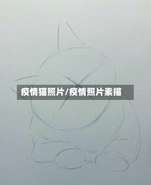 疫情猫照片/疫情照片素描