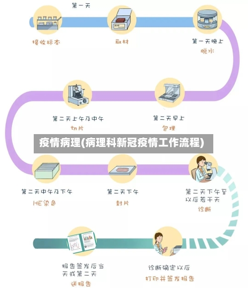 疫情病理(病理科新冠疫情工作流程)