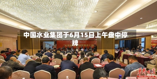 中国水业集团于6月15日上午盘中停牌-第2张图片