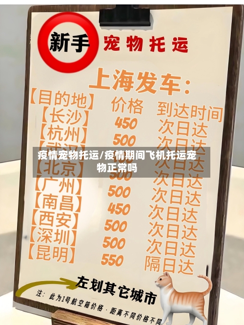 疫情宠物托运/疫情期间飞机托运宠物正常吗