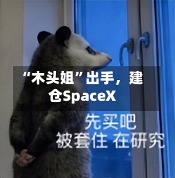 “木头姐”出手，建仓SpaceX