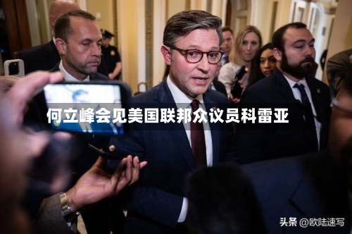 何立峰会见美国联邦众议员科雷亚