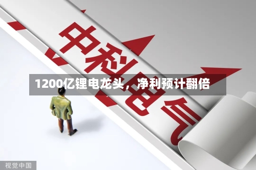 1200亿锂电龙头，净利预计翻倍