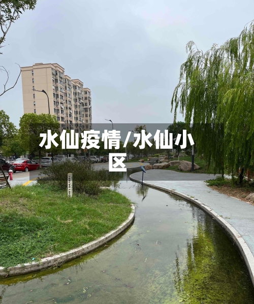 水仙疫情/水仙小区-第2张图片
