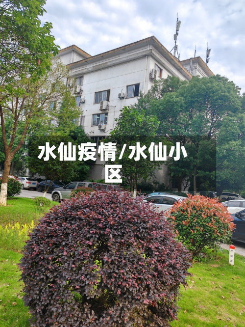 水仙疫情/水仙小区