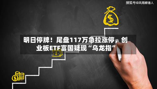 明日停牌！尾盘117万急拉涨停，创业板ETF富国疑现“乌龙指	”-第2张图片