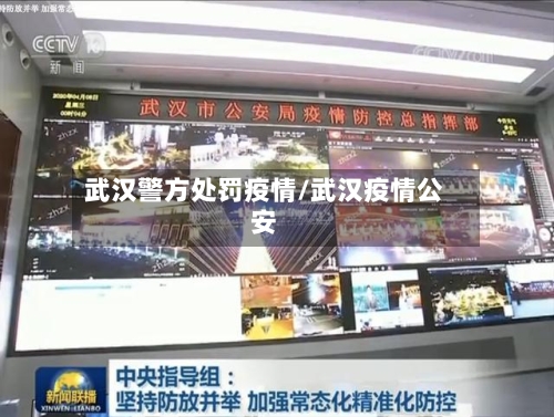 武汉警方处罚疫情/武汉疫情公安
