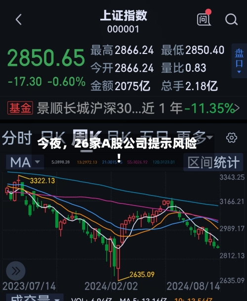 今夜，26家A股公司提示风险！-第2张图片