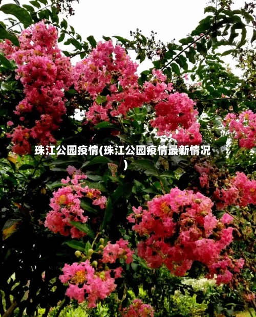 珠江公园疫情(珠江公园疫情最新情况)-第3张图片