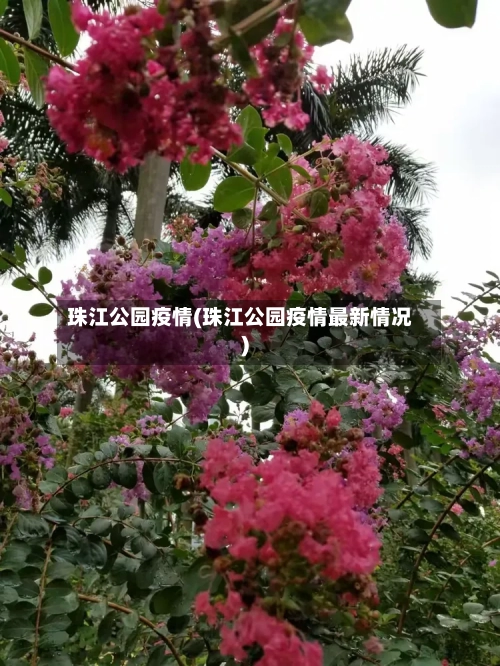 珠江公园疫情(珠江公园疫情最新情况)