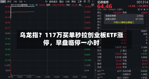 乌龙指？117万买单秒拉创业板ETF涨停	，早盘临停一小时-第3张图片