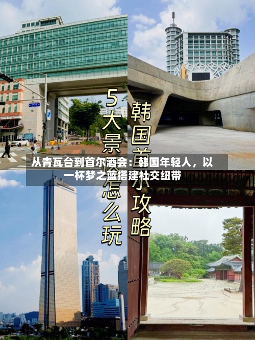 从青瓦台到首尔酒会：韩国年轻人，以一杯梦之蓝搭建社交纽带-第2张图片