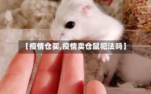【疫情仓买,疫情卖仓鼠犯法吗】-第3张图片