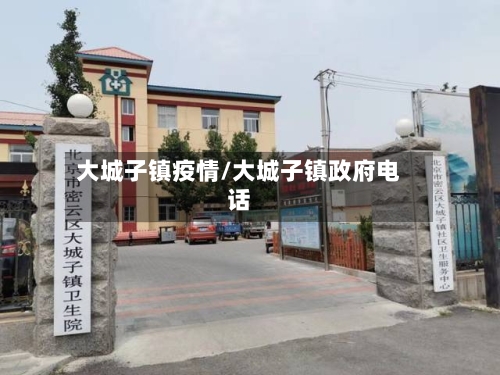 大城子镇疫情/大城子镇政府电话