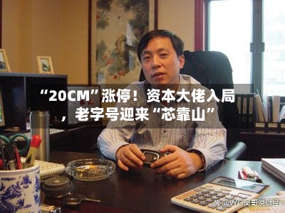 “20CM	”涨停！资本大佬入局	，老字号迎来“芯靠山”-第2张图片