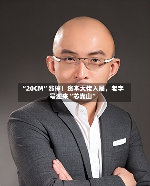 “20CM”涨停！资本大佬入局，老字号迎来“芯靠山	”-第3张图片